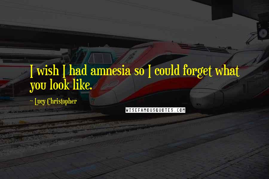 Lucy Christopher Quotes: I wish I had amnesia so I could forget what you look like.