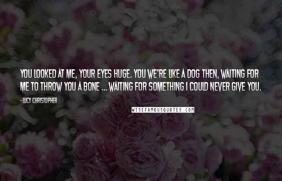Lucy Christopher Quotes: You looked at me, your eyes huge. You we're like a dog then, waiting for me to throw you a bone ... waiting for something I could never give you.