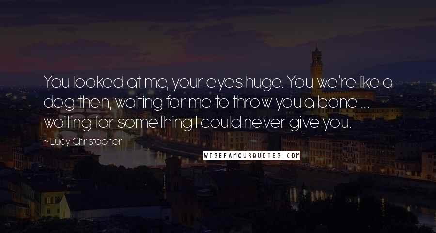 Lucy Christopher Quotes: You looked at me, your eyes huge. You we're like a dog then, waiting for me to throw you a bone ... waiting for something I could never give you.