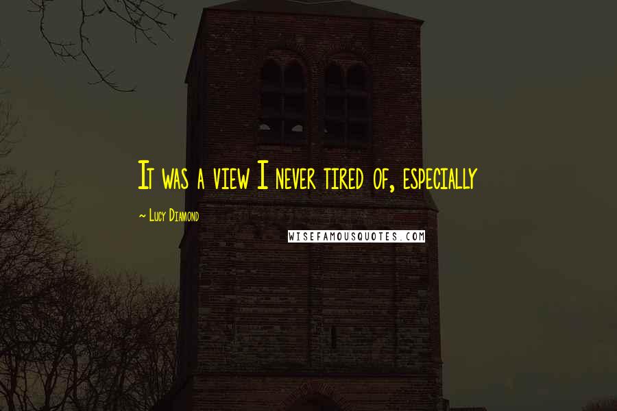 Lucy Diamond Quotes: It was a view I never tired of, especially