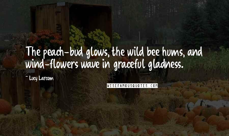 Lucy Larcom Quotes: The peach-bud glows, the wild bee hums, and wind-flowers wave in graceful gladness.