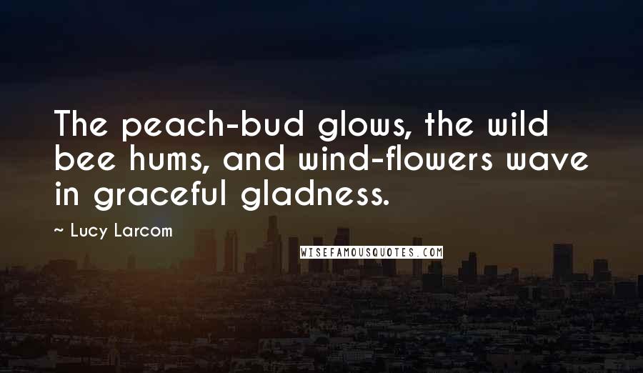 Lucy Larcom Quotes: The peach-bud glows, the wild bee hums, and wind-flowers wave in graceful gladness.