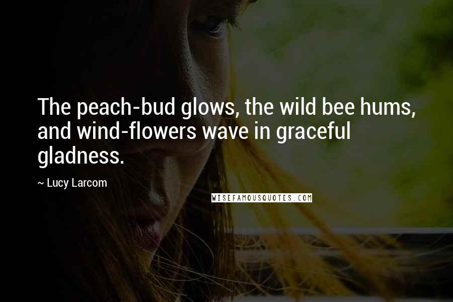 Lucy Larcom Quotes: The peach-bud glows, the wild bee hums, and wind-flowers wave in graceful gladness.
