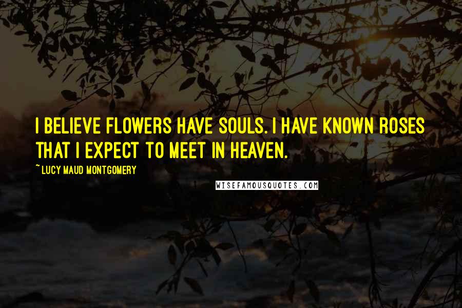 Lucy Maud Montgomery Quotes: I believe flowers have souls. I have known roses that I expect to meet in heaven.