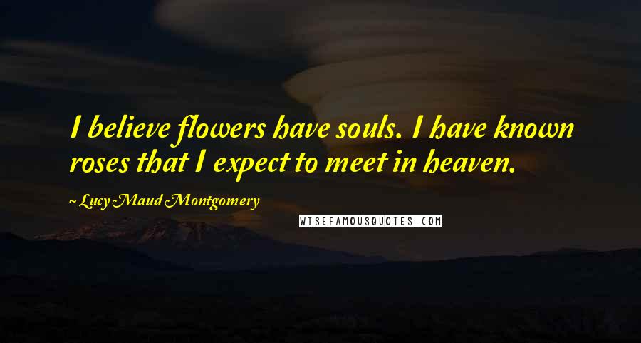 Lucy Maud Montgomery Quotes: I believe flowers have souls. I have known roses that I expect to meet in heaven.