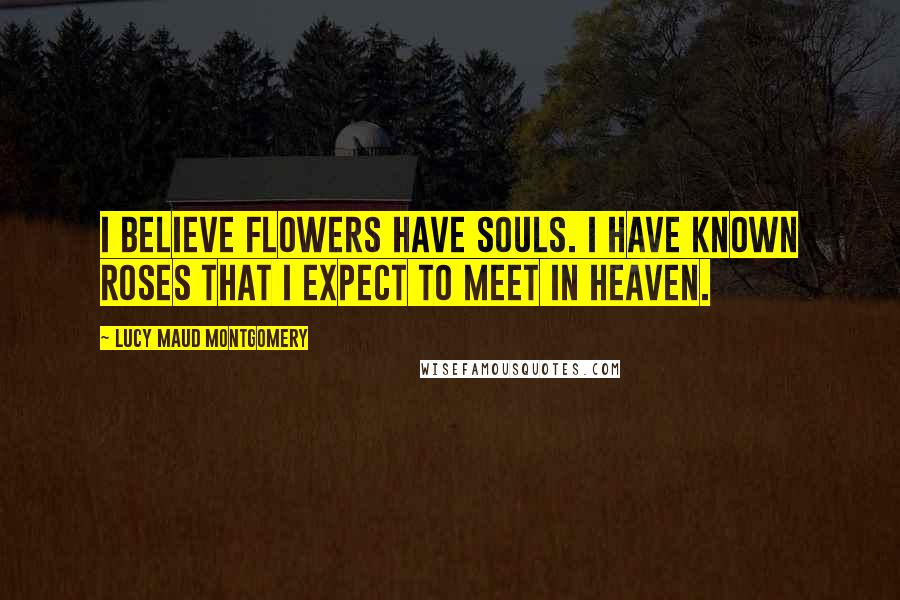 Lucy Maud Montgomery Quotes: I believe flowers have souls. I have known roses that I expect to meet in heaven.