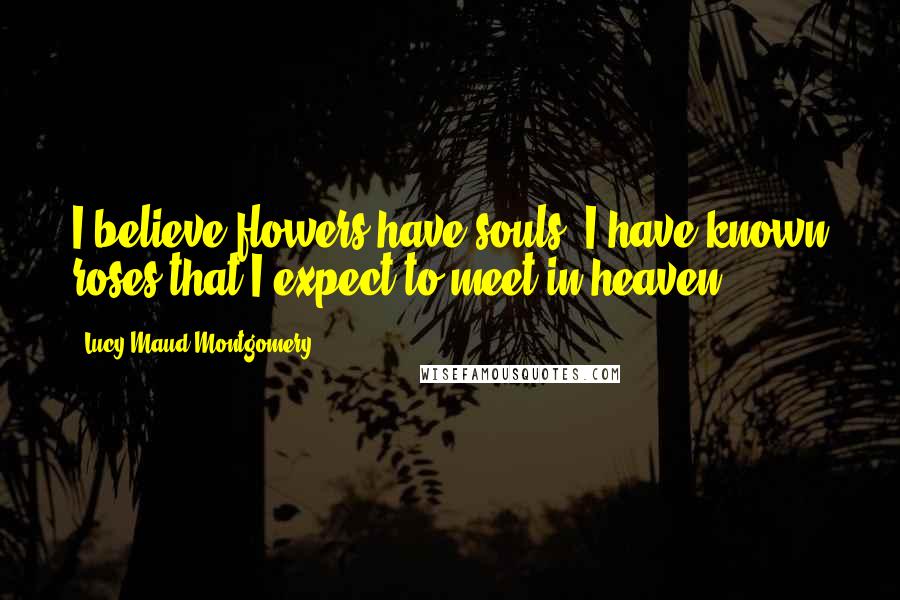 Lucy Maud Montgomery Quotes: I believe flowers have souls. I have known roses that I expect to meet in heaven.