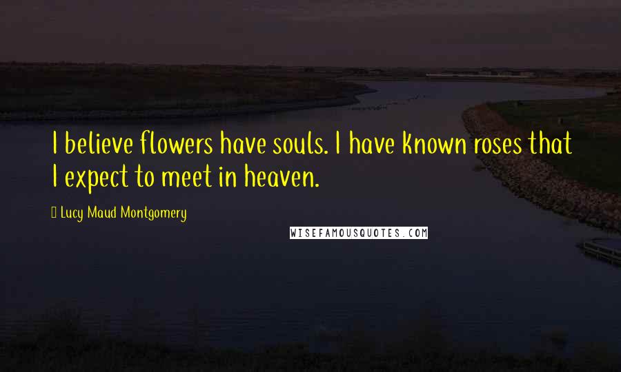 Lucy Maud Montgomery Quotes: I believe flowers have souls. I have known roses that I expect to meet in heaven.