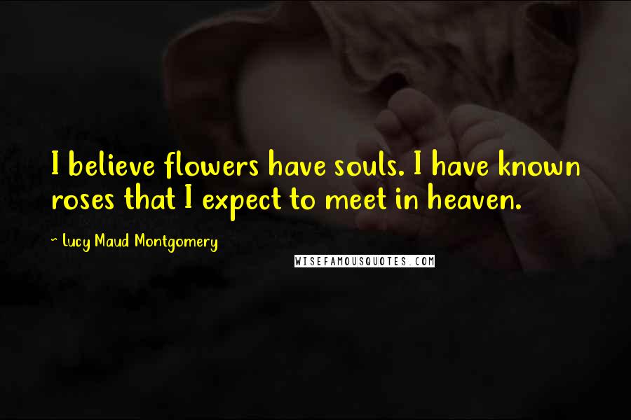 Lucy Maud Montgomery Quotes: I believe flowers have souls. I have known roses that I expect to meet in heaven.