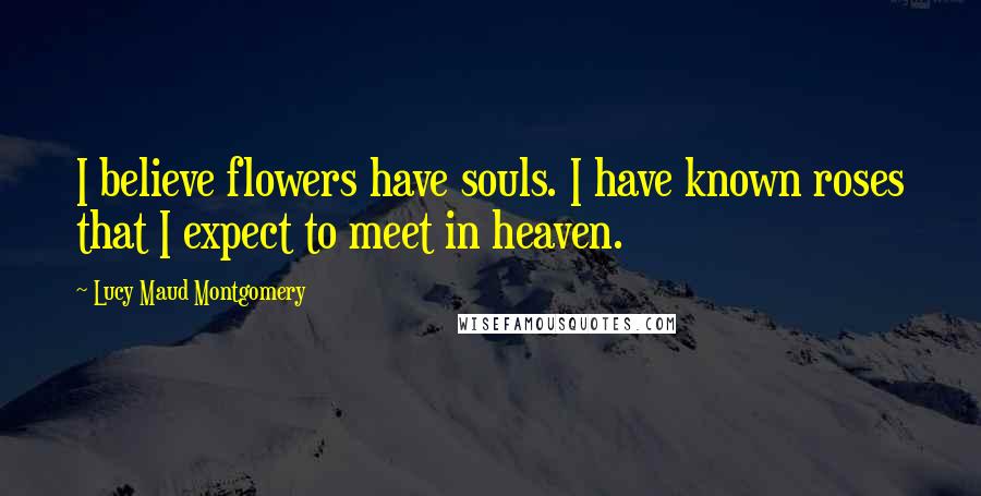 Lucy Maud Montgomery Quotes: I believe flowers have souls. I have known roses that I expect to meet in heaven.