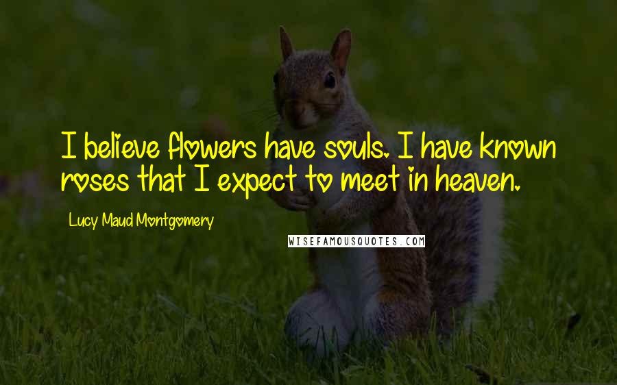 Lucy Maud Montgomery Quotes: I believe flowers have souls. I have known roses that I expect to meet in heaven.