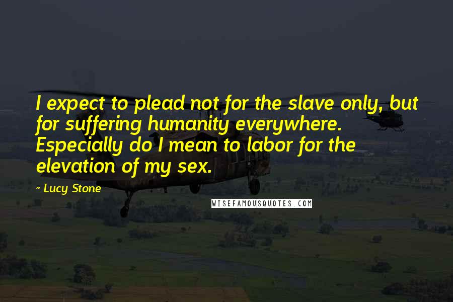 Lucy Stone Quotes: I expect to plead not for the slave only, but for suffering humanity everywhere. Especially do I mean to labor for the elevation of my sex.