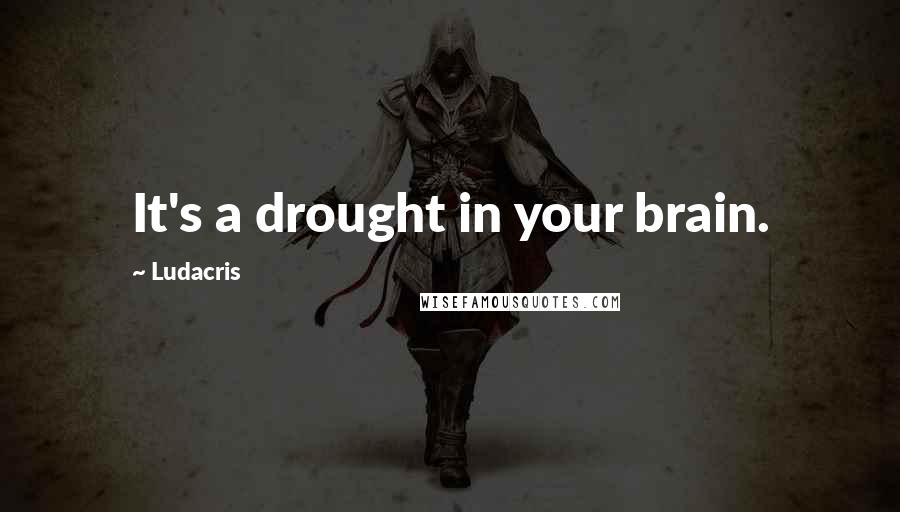 Ludacris Quotes: It's a drought in your brain.