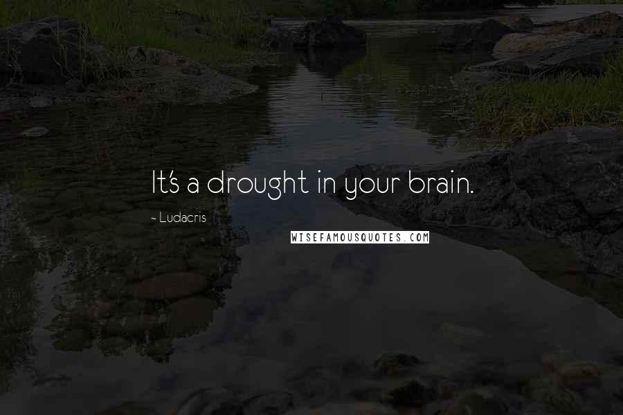 Ludacris Quotes: It's a drought in your brain.