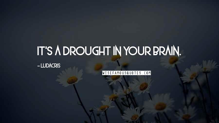 Ludacris Quotes: It's a drought in your brain.