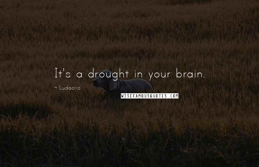 Ludacris Quotes: It's a drought in your brain.