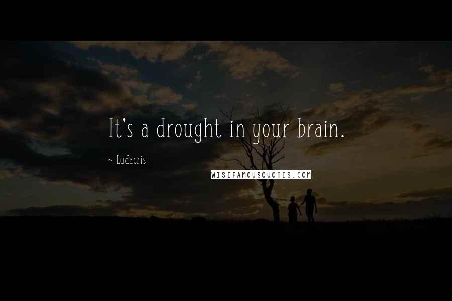 Ludacris Quotes: It's a drought in your brain.