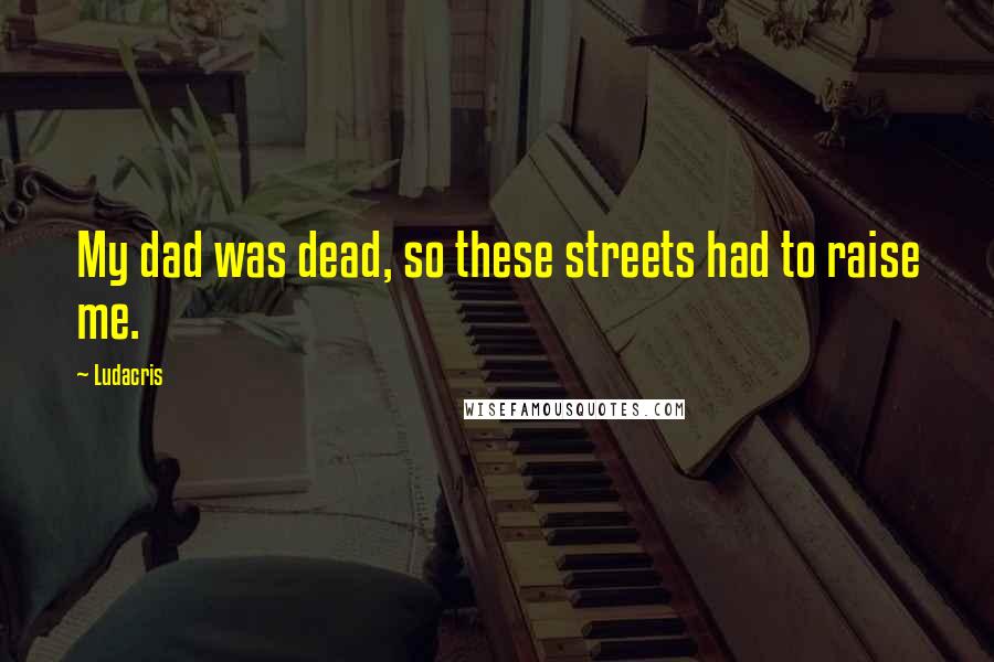 Ludacris Quotes: My dad was dead, so these streets had to raise me.