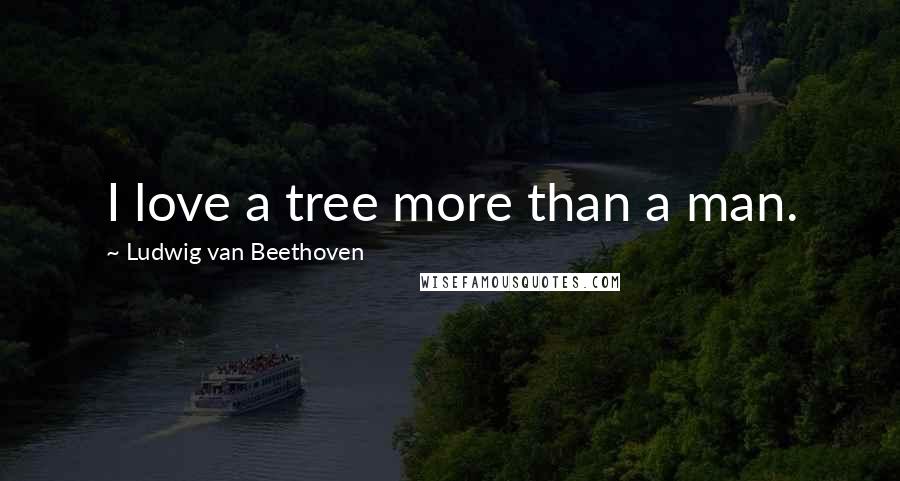 Ludwig Van Beethoven Quotes: I love a tree more than a man.