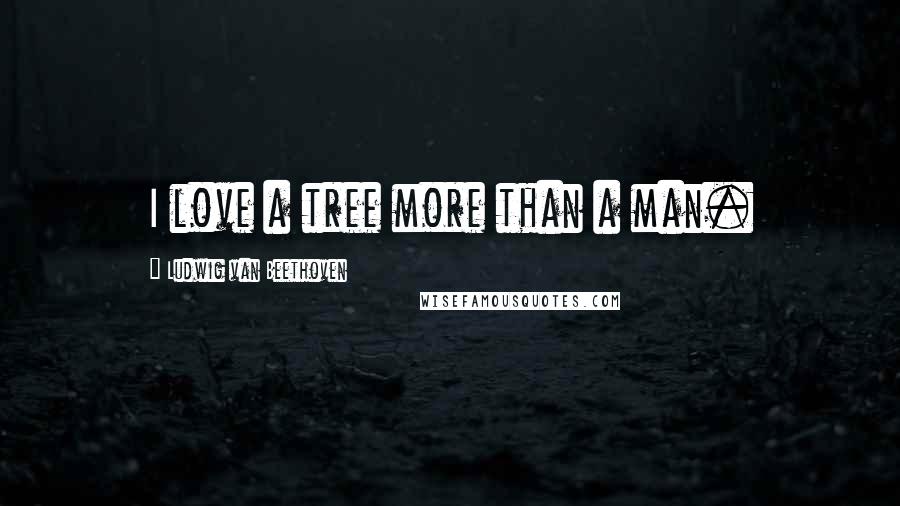 Ludwig Van Beethoven Quotes: I love a tree more than a man.