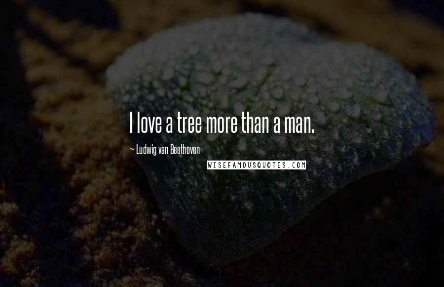 Ludwig Van Beethoven Quotes: I love a tree more than a man.