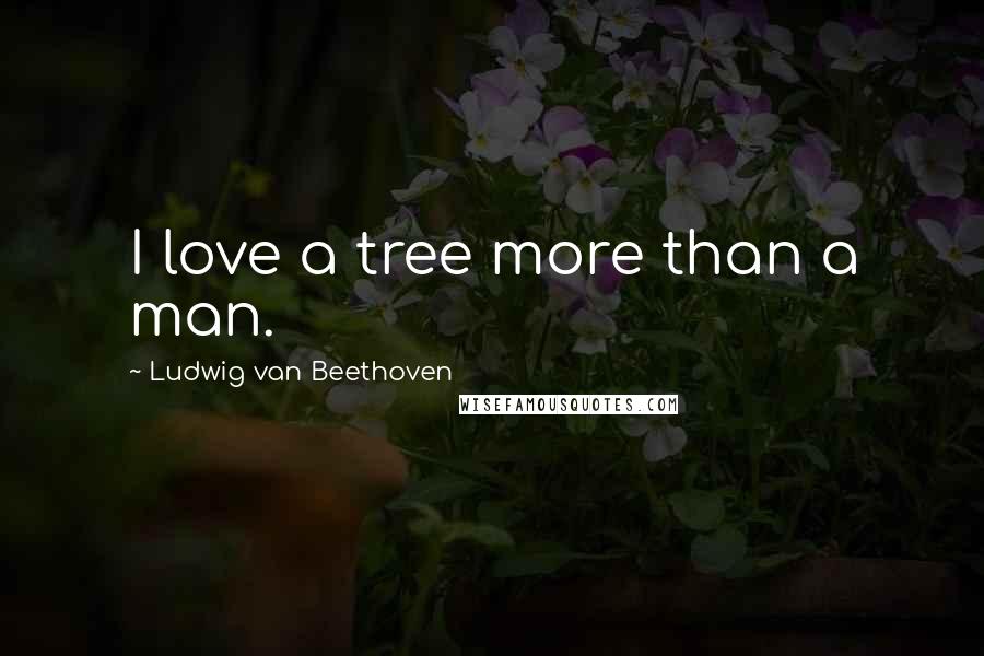 Ludwig Van Beethoven Quotes: I love a tree more than a man.
