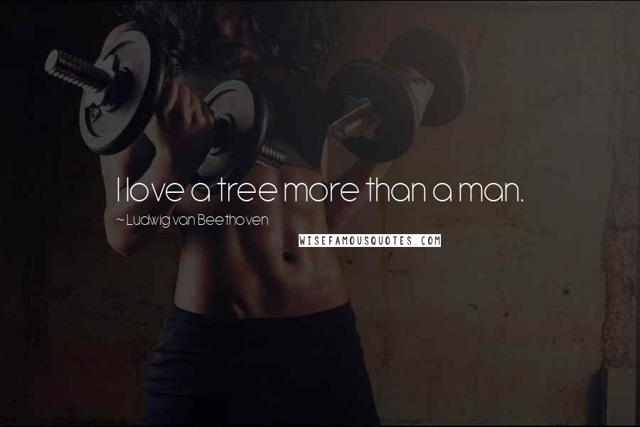 Ludwig Van Beethoven Quotes: I love a tree more than a man.