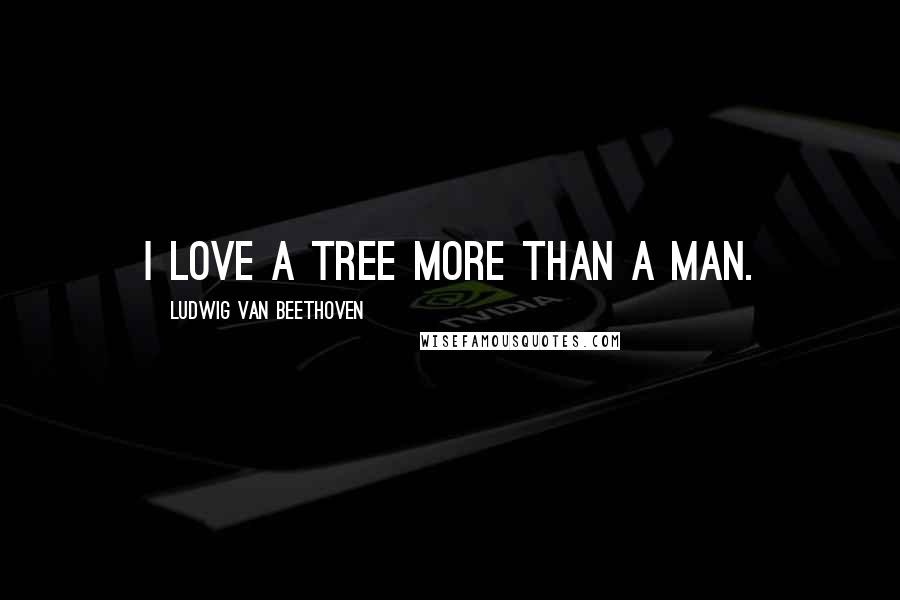 Ludwig Van Beethoven Quotes: I love a tree more than a man.