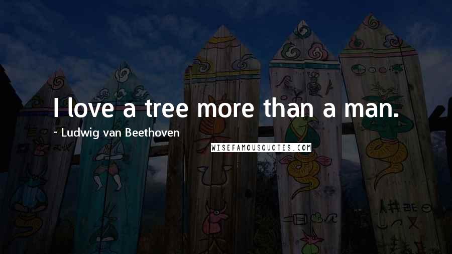 Ludwig Van Beethoven Quotes: I love a tree more than a man.