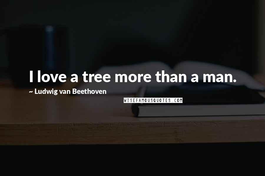 Ludwig Van Beethoven Quotes: I love a tree more than a man.