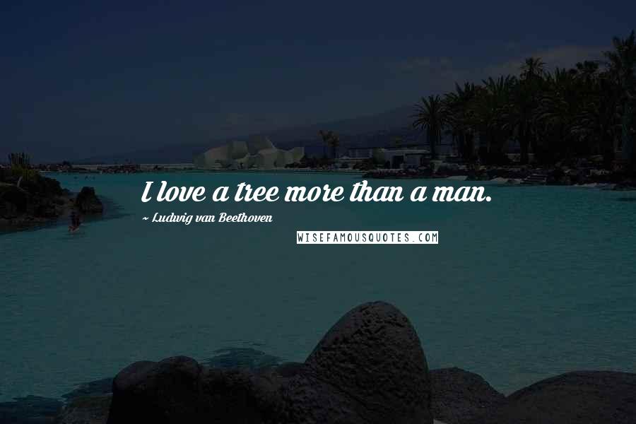 Ludwig Van Beethoven Quotes: I love a tree more than a man.