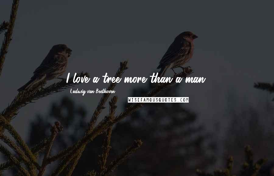 Ludwig Van Beethoven Quotes: I love a tree more than a man.