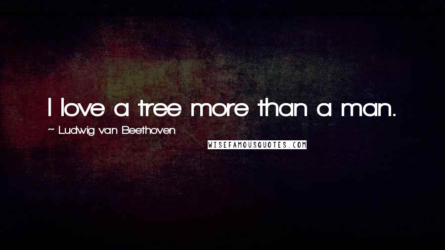 Ludwig Van Beethoven Quotes: I love a tree more than a man.