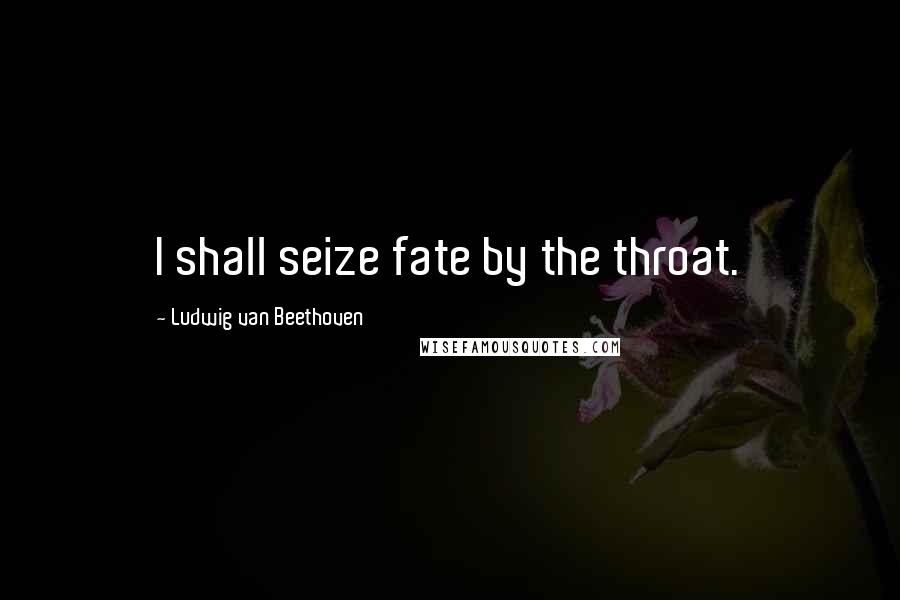 Ludwig Van Beethoven Quotes: I shall seize fate by the throat.