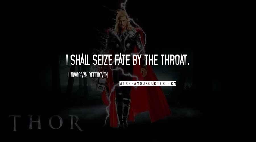 Ludwig Van Beethoven Quotes: I shall seize fate by the throat.