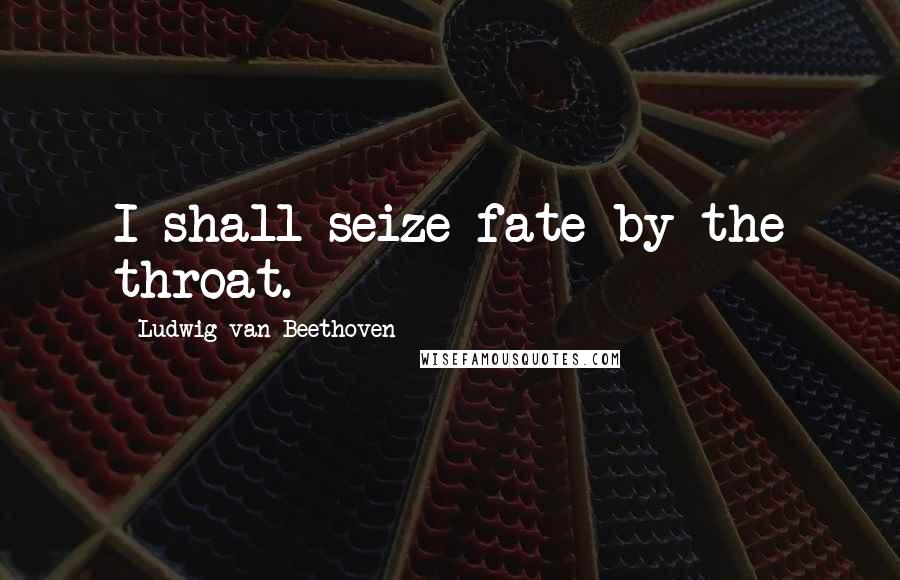 Ludwig Van Beethoven Quotes: I shall seize fate by the throat.