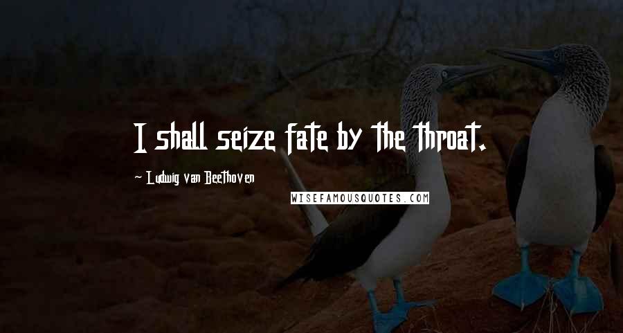 Ludwig Van Beethoven Quotes: I shall seize fate by the throat.