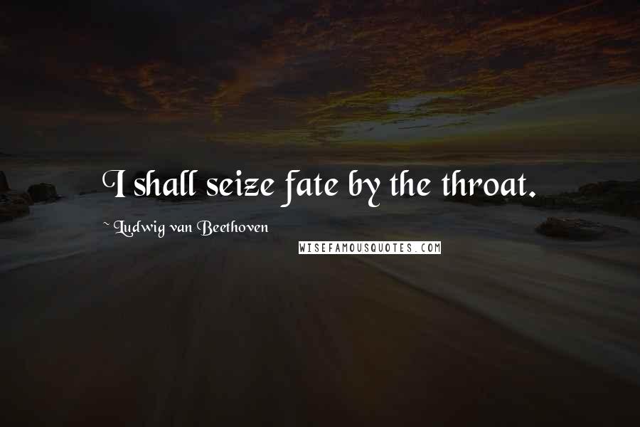 Ludwig Van Beethoven Quotes: I shall seize fate by the throat.