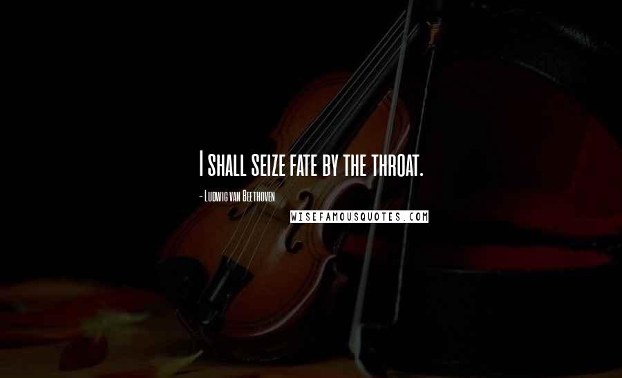 Ludwig Van Beethoven Quotes: I shall seize fate by the throat.