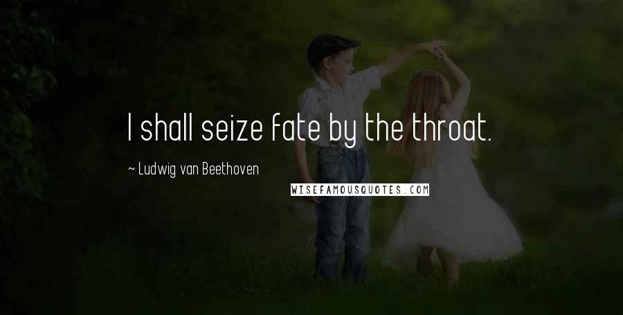 Ludwig Van Beethoven Quotes: I shall seize fate by the throat.