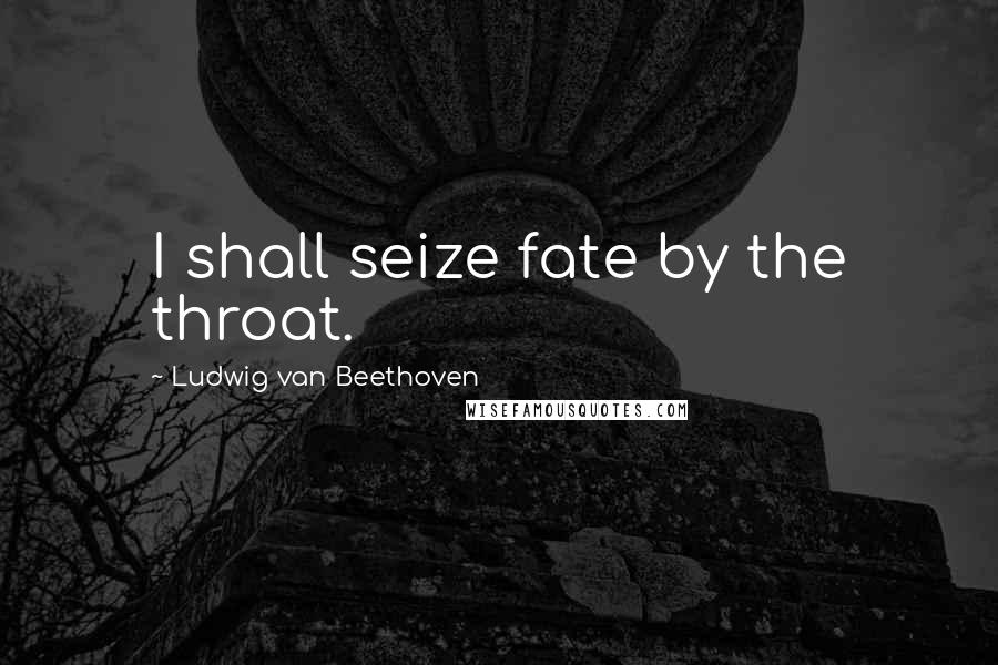 Ludwig Van Beethoven Quotes: I shall seize fate by the throat.