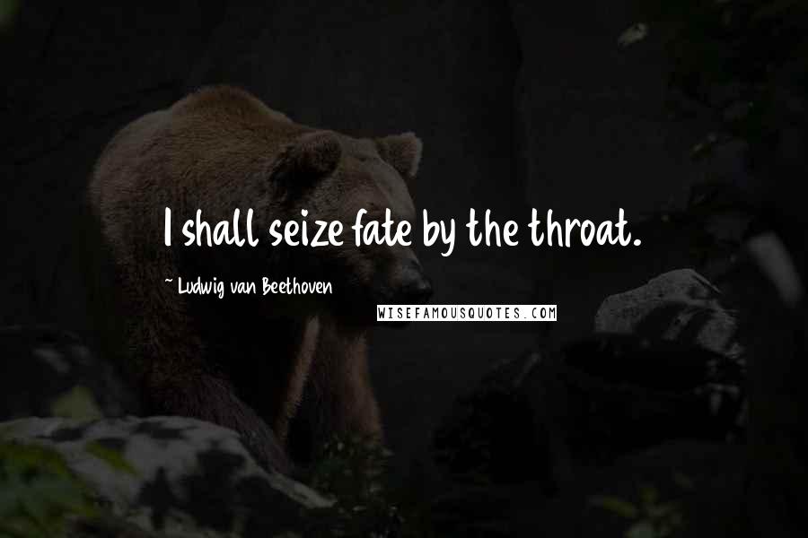 Ludwig Van Beethoven Quotes: I shall seize fate by the throat.