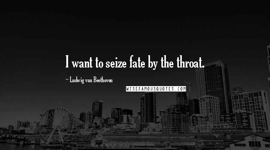 Ludwig Van Beethoven Quotes: I want to seize fate by the throat.