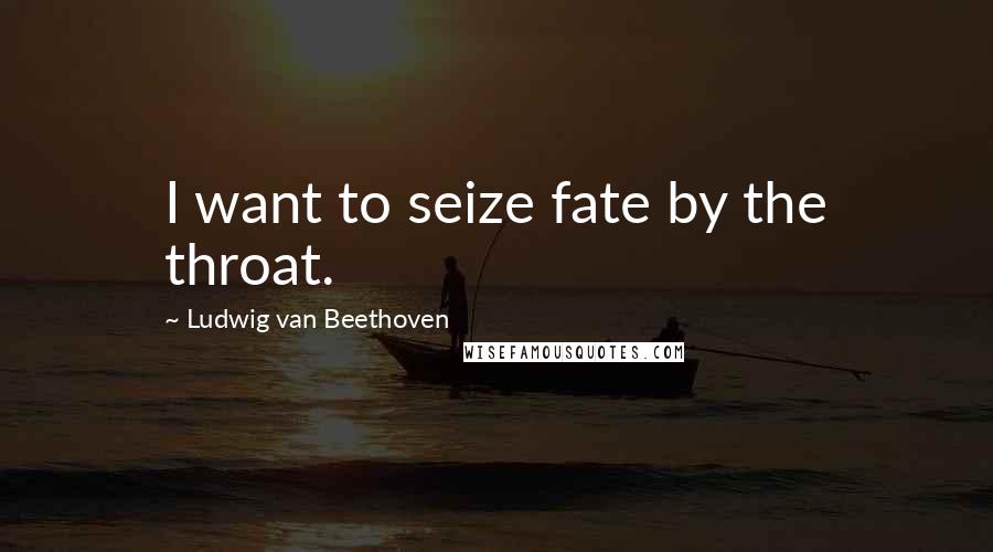 Ludwig Van Beethoven Quotes: I want to seize fate by the throat.