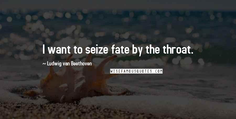 Ludwig Van Beethoven Quotes: I want to seize fate by the throat.