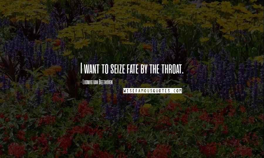 Ludwig Van Beethoven Quotes: I want to seize fate by the throat.