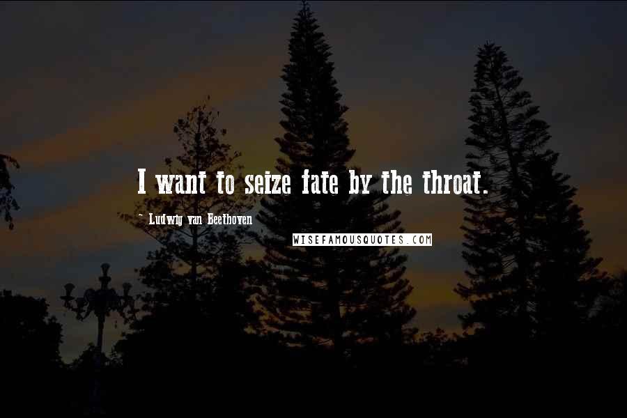 Ludwig Van Beethoven Quotes: I want to seize fate by the throat.