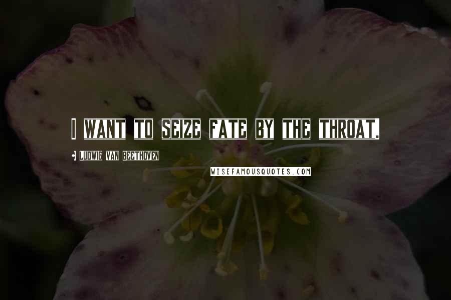 Ludwig Van Beethoven Quotes: I want to seize fate by the throat.