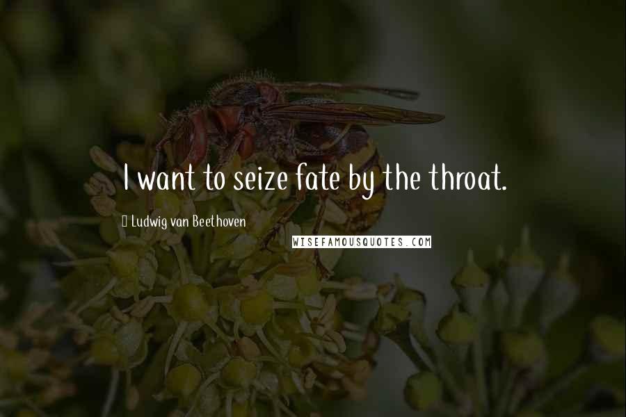 Ludwig Van Beethoven Quotes: I want to seize fate by the throat.