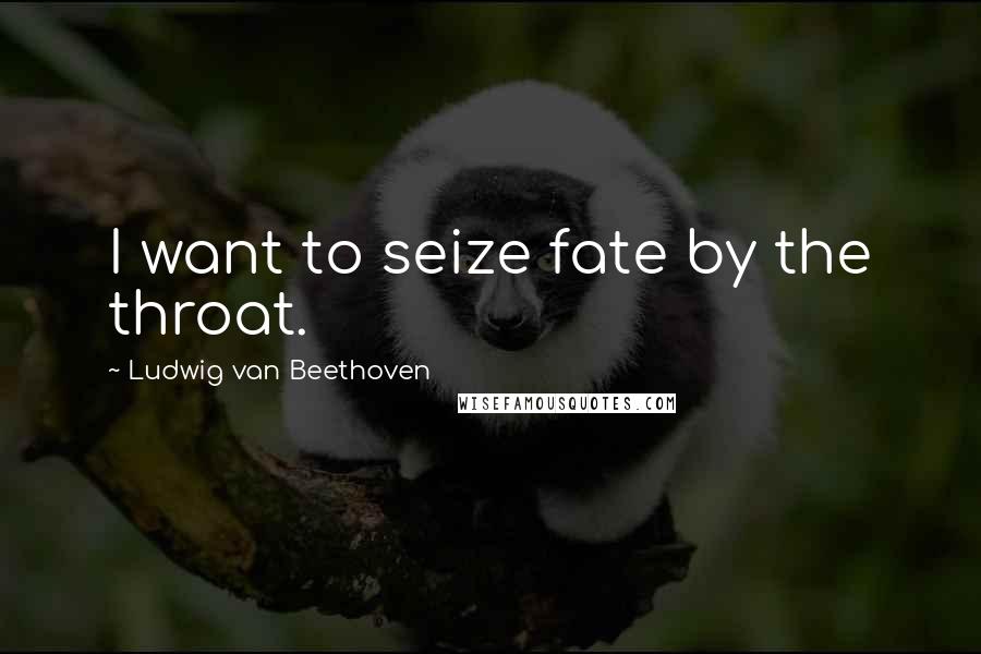 Ludwig Van Beethoven Quotes: I want to seize fate by the throat.